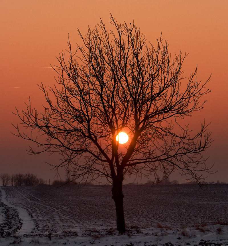 Μια νύχτα κάτω από τα αστέρια στην έρημο της δυτικής Αφρικής