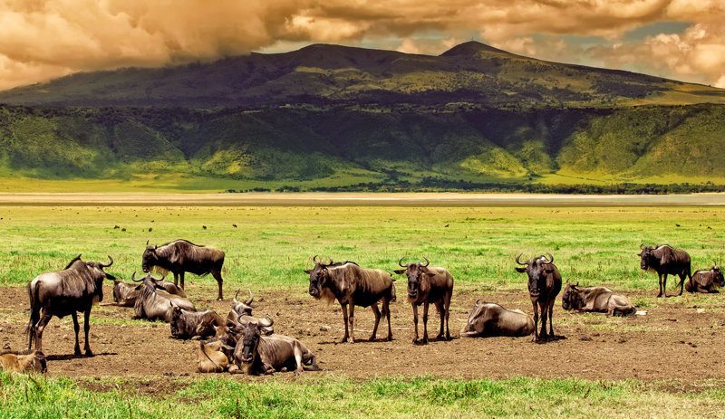 Η μεγαλύτερη καλντέρα του κόσμου