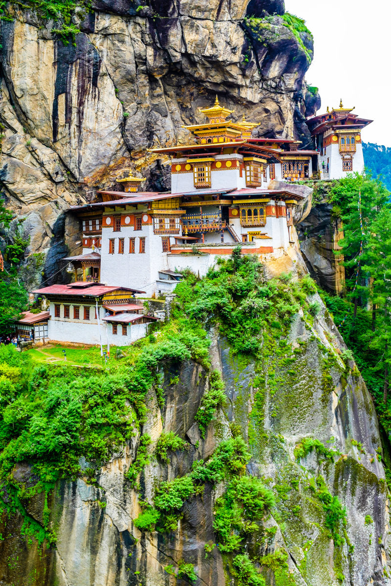 Επισκεφθείτε τη «φωλιά της τίγρης»