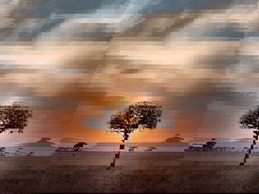 Τανζανια ξεναγηση