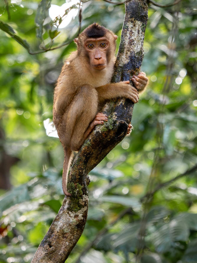 Μοναδικές εκδρομές & επισκέψεις!