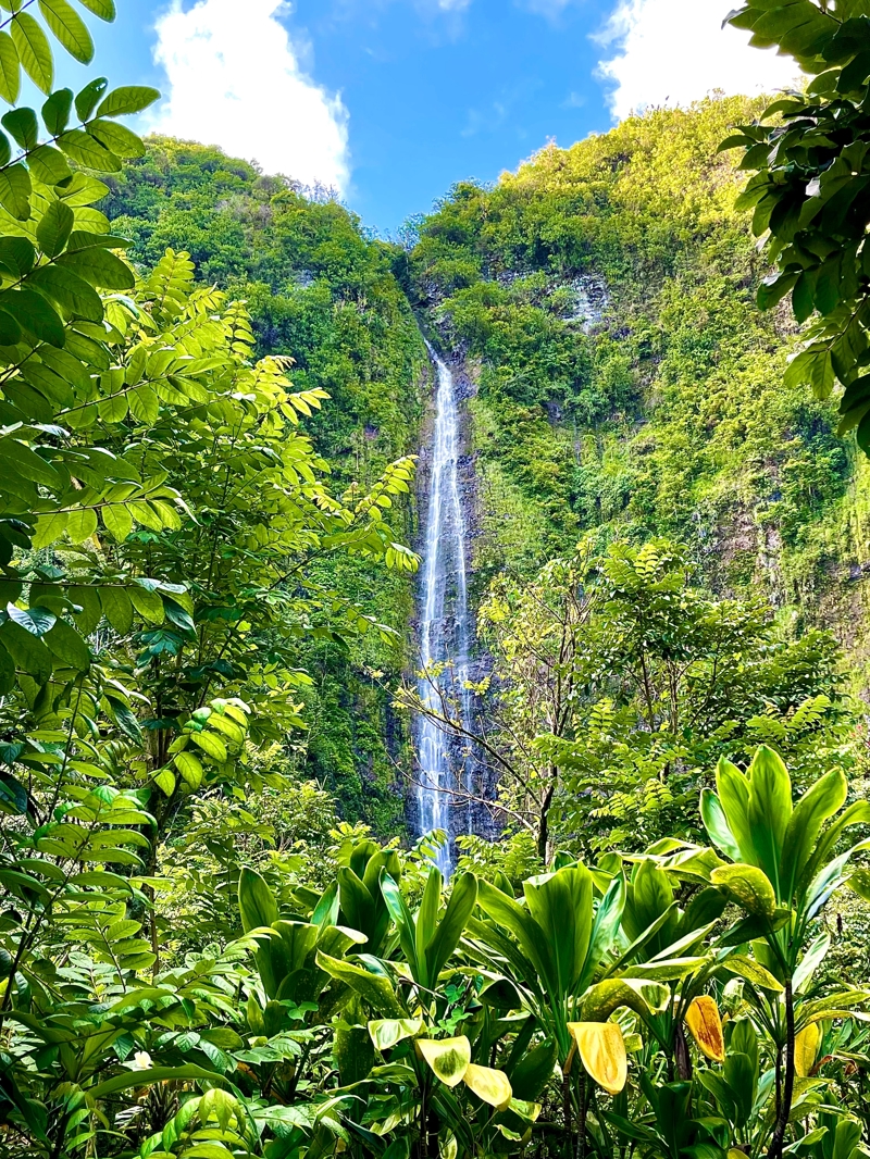 Διαμονή στο Εθνικό Πάρκο του Τορτουγκέρο