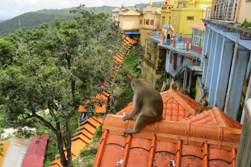 Το εντυπωσιακό Όρος Πόπα