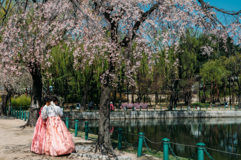 Ένα δώρο της Σεούλ στους πολίτες της