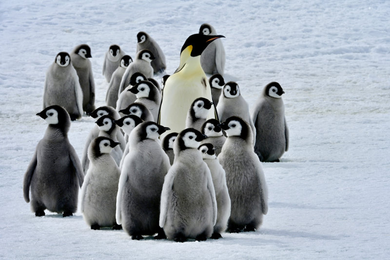 Αληθινή εξερεύνηση & μοναδικές δραστηριότητες 