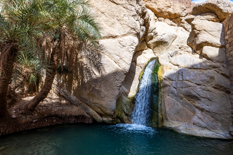 Εκδρομή στις οάσεις Τσεμπίκα, Ταμέρζα και Όνγκ Τζεμάλ