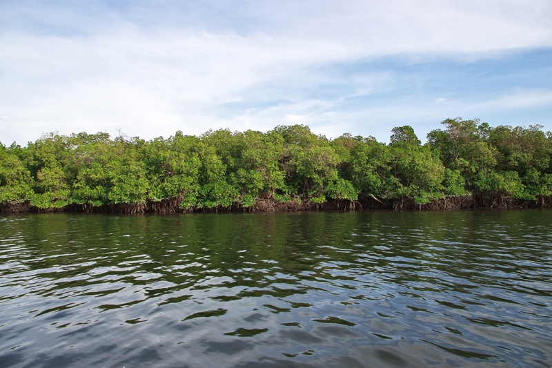Ποταμός Σαλούμ, Σενεγάλη