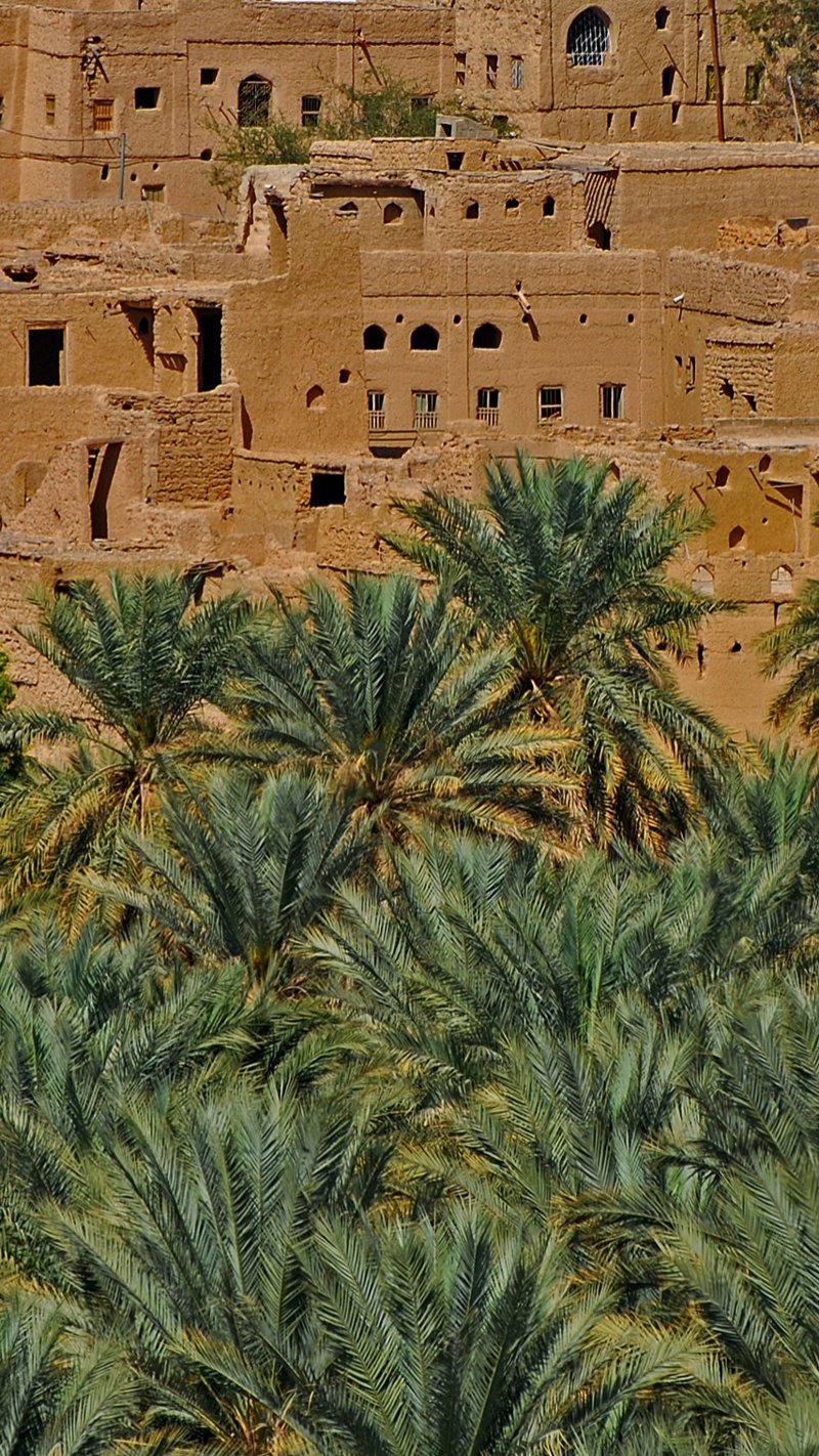 Επίσκεψη στην περιοχή της Αλ Χάμρα