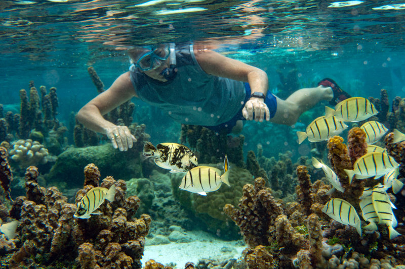 ΜΠΟΡΑ ΜΠΟΡΑ: Κρουαζιέρα και τάισμα καρχαριών!