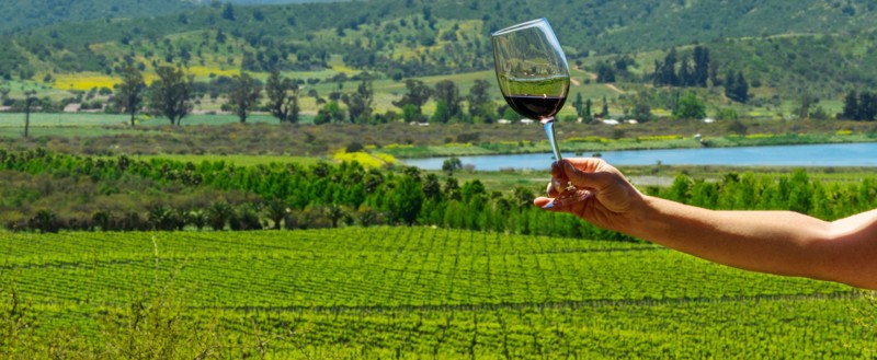 Oινική εκδρομή στην κοιλάδα Καζαμπλάνκα