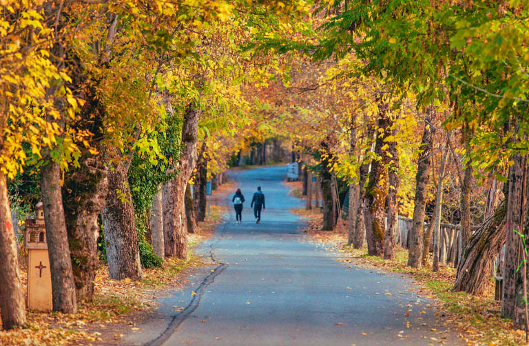Η Βυτίνα με τα ελατοδάση της 