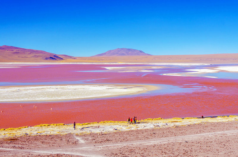 Λαγκούνα Κολοράντα, Βολιβία 