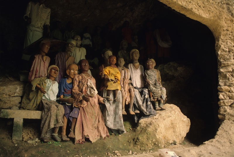 Η μεγάλη συλλογή των Τοράγιας