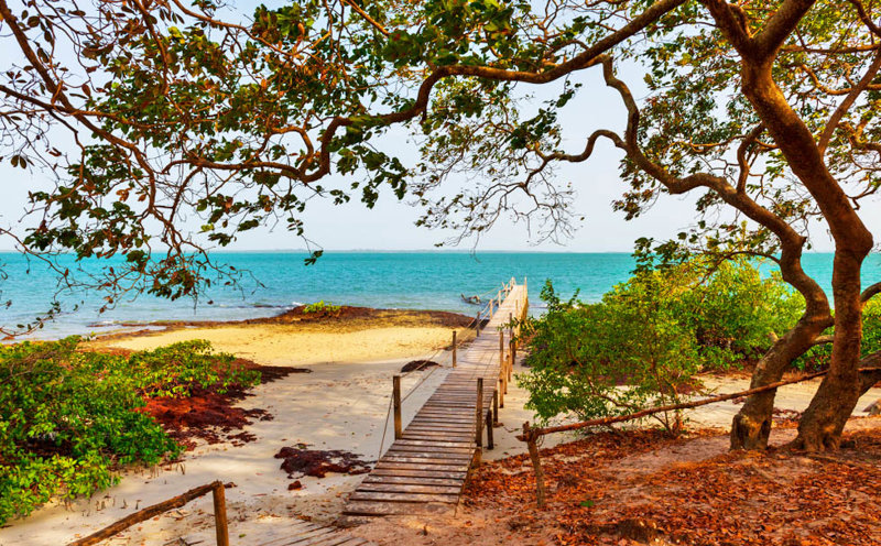 ΝΗΣΙΑ ΜΠΙΣΑΓΚΟΣ (Εθνικό Πάρκο Οράνγκο)