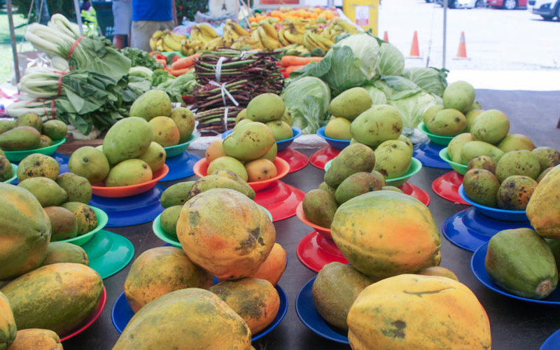 H πρωτεύουσα Σούβα 