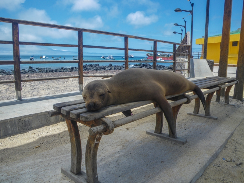 Τα μαγικά Νησιά Γκαλάπαγκος