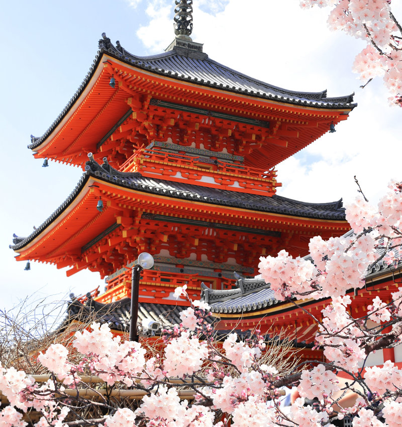 Διαμονή στο παραδοσιακό Κιότο