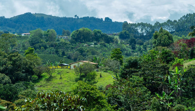 Εικόνες από την πεζοπορία μας 