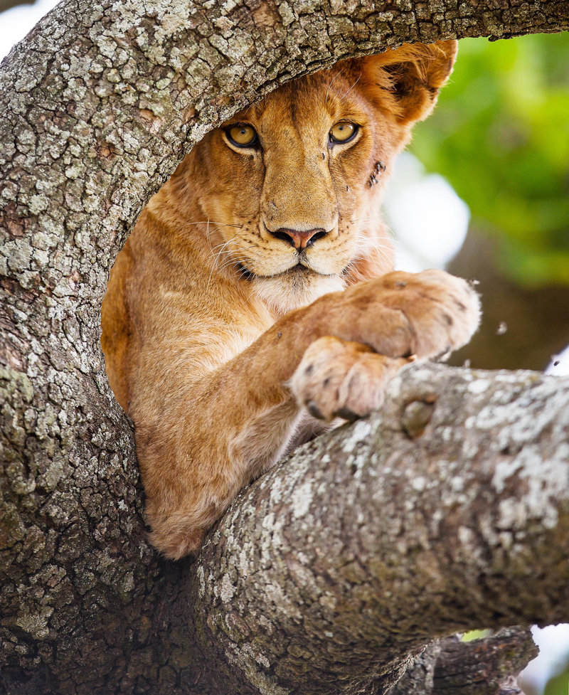 Απολαυστικά σαφάρι με jeep 4X4