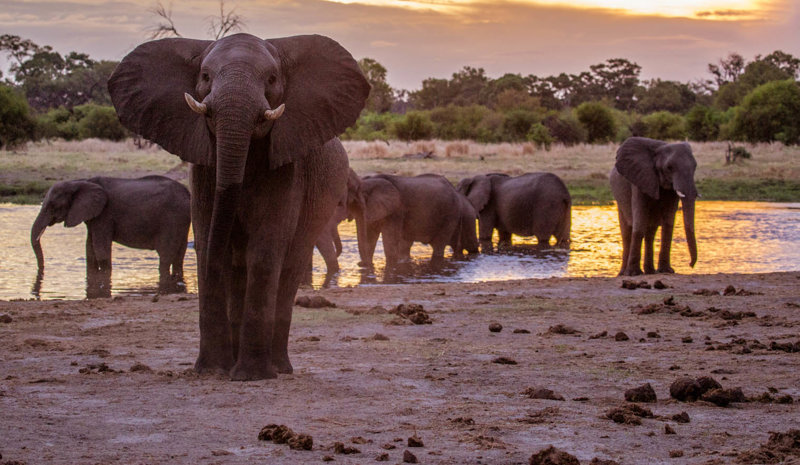 Η περιοχή το ποταμού Khwai 