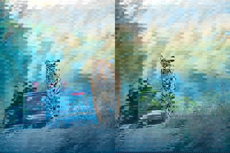 Ινδία -  Χρυσό Τρίγωνο, με Βαρανάσι, Κατζουράχο και εθνικό πάρκο Πάννα