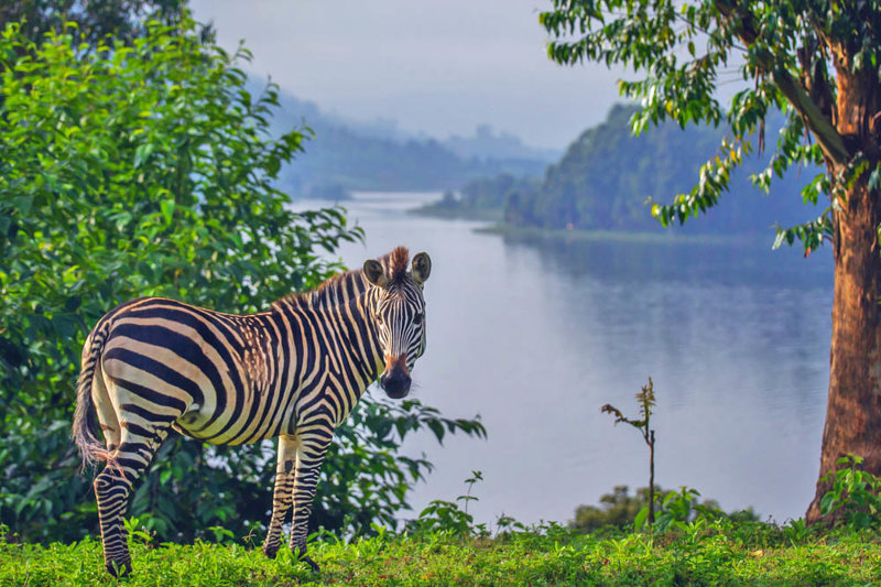 Λίμνη Bunyonyi, Ουγκάντα
