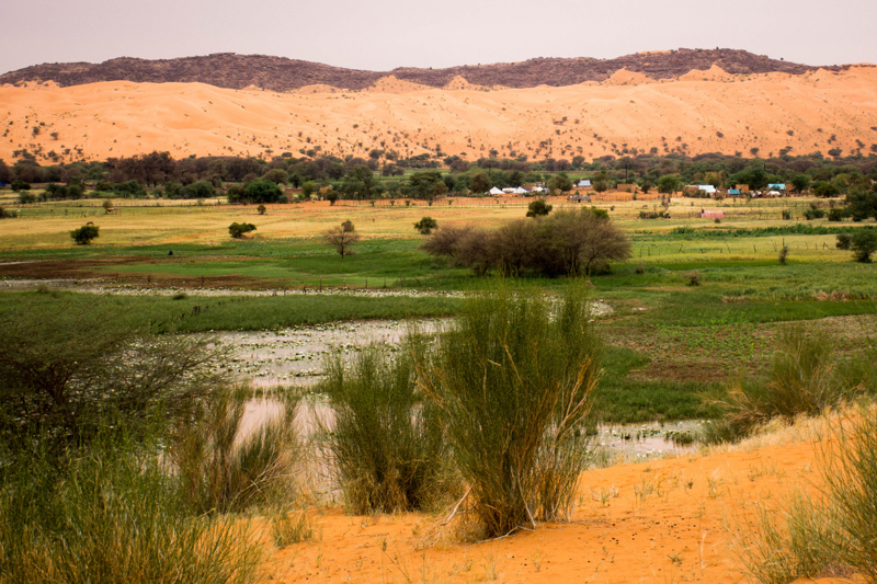 Το καταπράσινο φαράγγι Ουέντ Εσσεντιλέν
