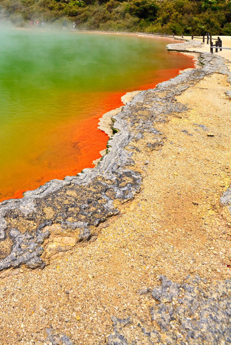 Σπάνιες διανυκτερεύσεις στη Ροτορούα