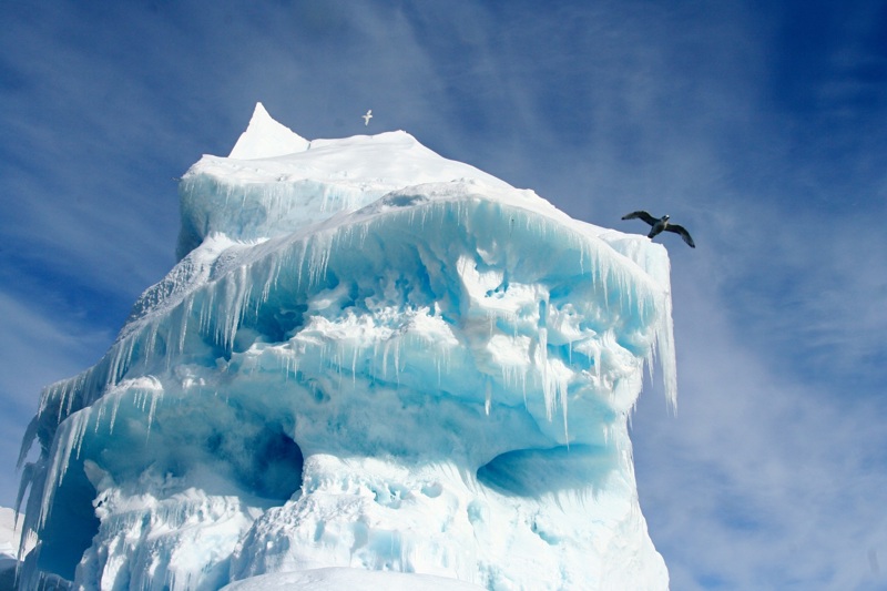 Γνωριμία με τα South Shetland Islands