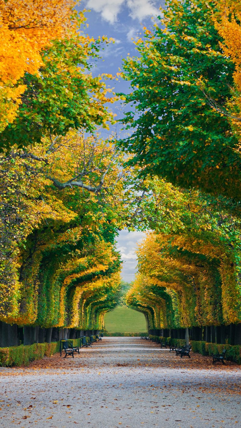 Περπατάμε στα περίφημα Βιεννέζικα Δάση