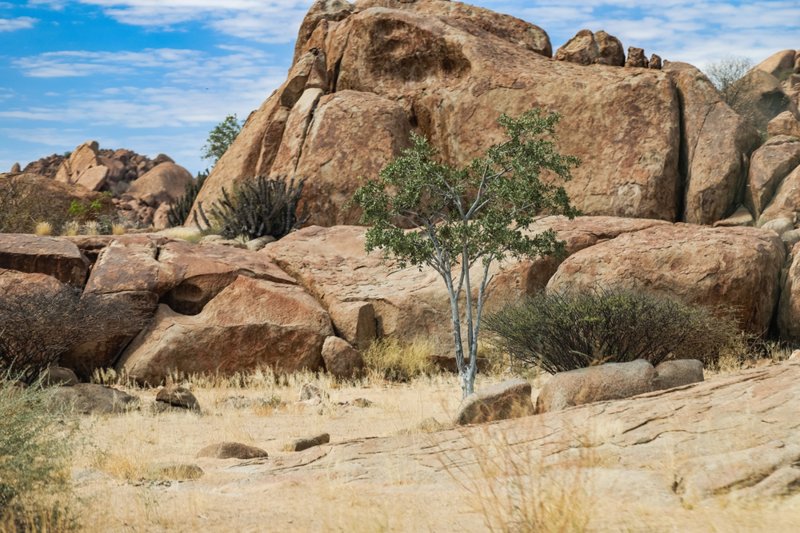 Επίσκεψη στο Εθνικό Πάρκο Ιόνα 
