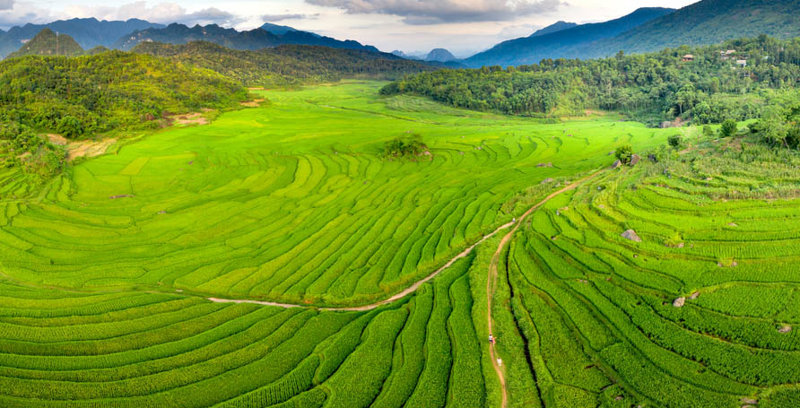 ΜΟΚ ΤΣΑΟΥ (επισκέψεις σε παραδοσιακά χωριά) – ΑΝΟΪ