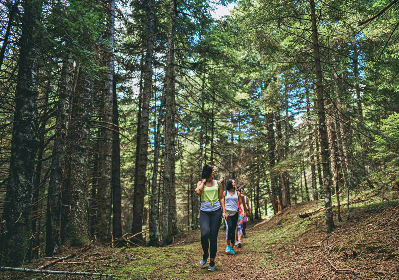 Άνω Χώρα – Πεζοπορία στο δάσος & Απόσταξη τσίπουρου 