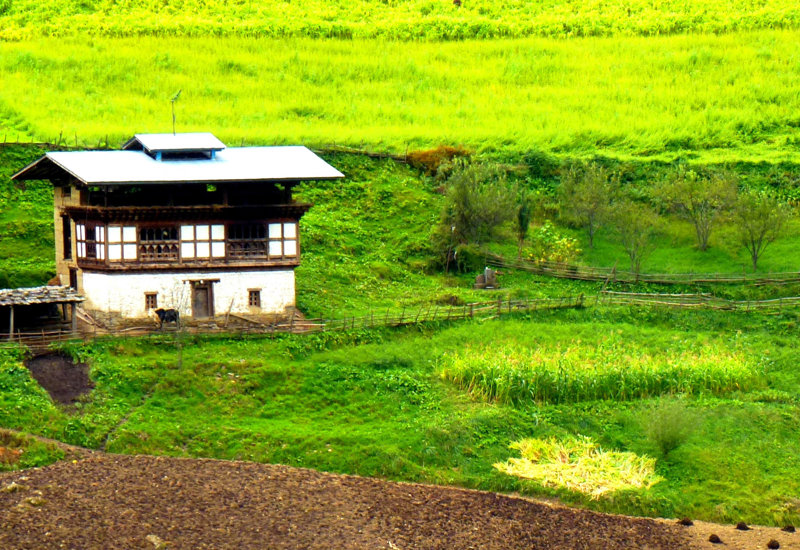 Θα γνωρίσουμε από κοντά μια τυπική αγροικία