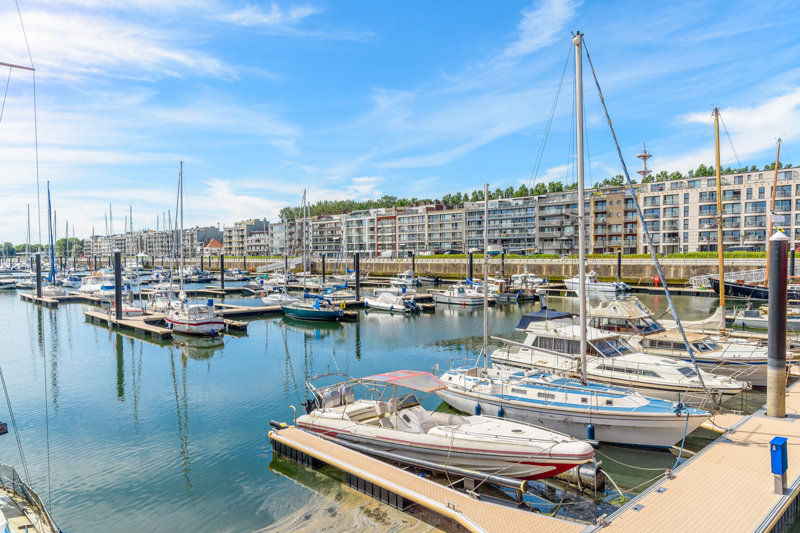 Ζέμπρουγκε, Βέλγιο