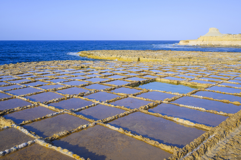 Εκδρομή στις Αλυκές Κάρμεν