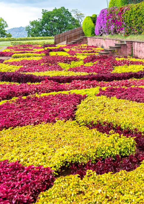 Είσοδο στους τροπικούς κήπους της Φουντσάλ