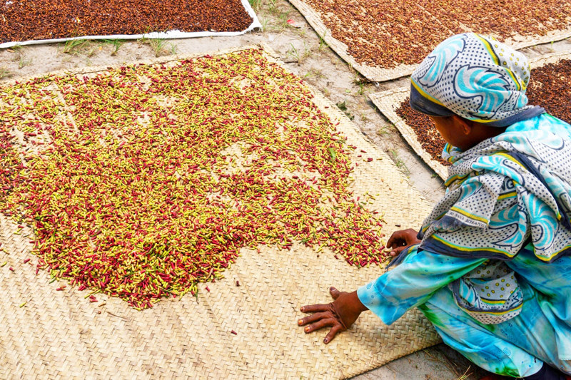 ΖΑΝΖΙΒΑΡΗ - ΠΤΗΣΗ ΓΙΑ ΑΡΟΥΣΑ - ΛΙΜΝΗ ΜΑΝΙΑΡΑ (ΣΑΦΑΡΙ)