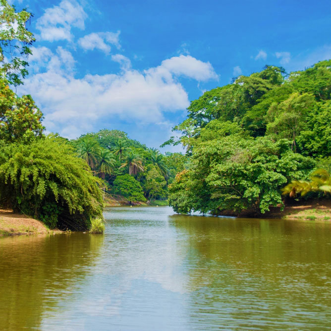 Κρουαζιέρα στον ποταμό Κονγκό 