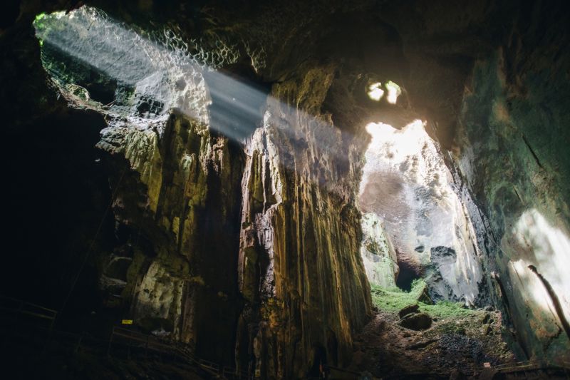 Gomantong Caves, Μαλαισία