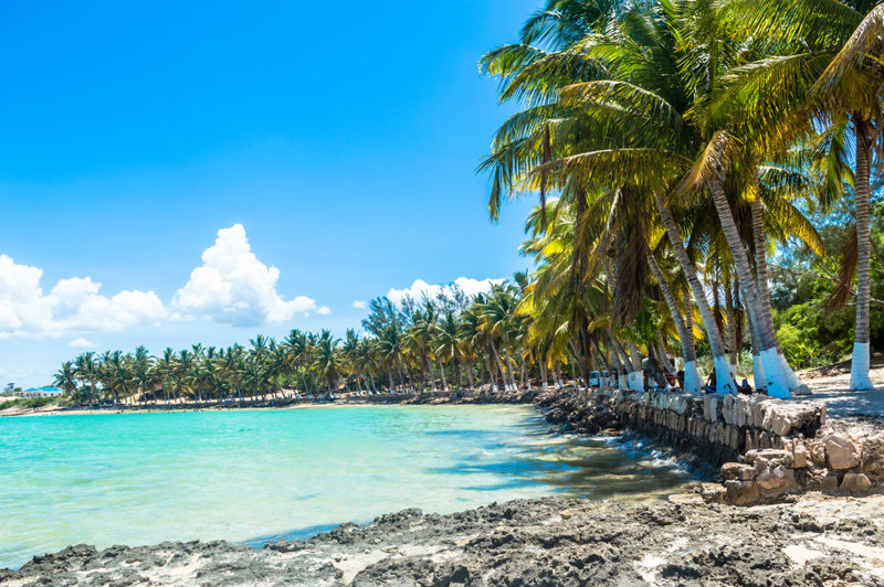 ΑΝΤΑΝΑΝΑΡΙΒΟ – πτήση για ΤΟΥΛΕΑΡ – ΙΦΑΤΙ