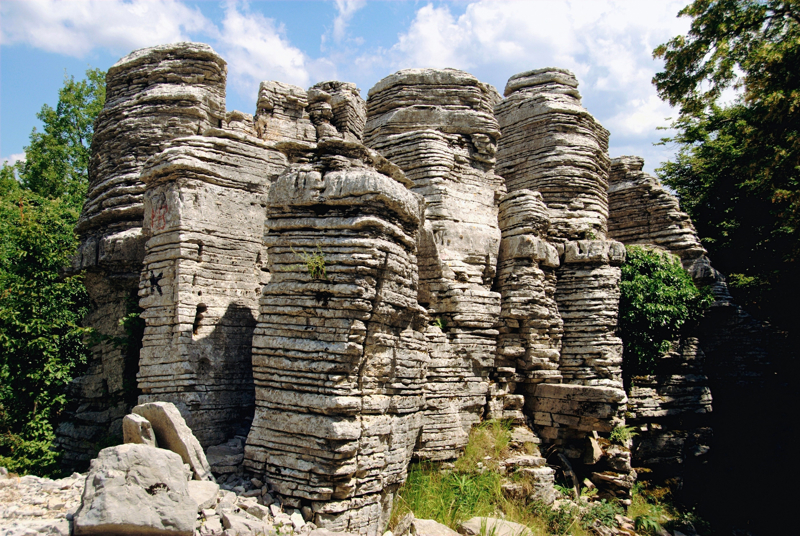 Μονοδέντρι