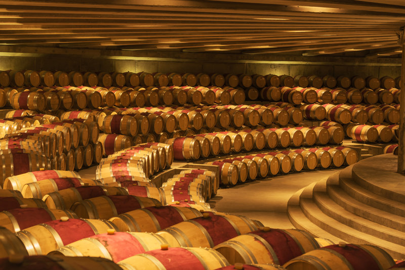 Eπίσκεψη στο οινοποιείο Cousiño Macul