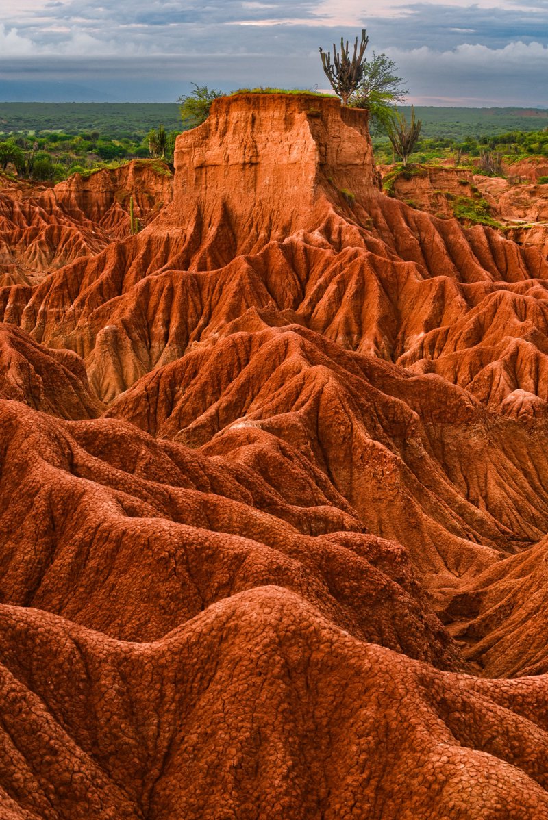Επίσκεψη στην έρημο Τατακόα