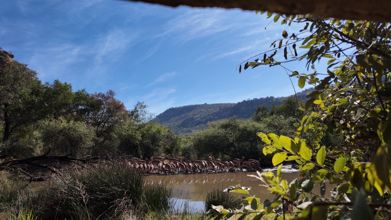 ΕΘΝΙΚΟ ΠΑΡΚΟ ΚΡΟΥΓΚΕΡ (σαφάρι 4x4) - Πολιτιστικό χωριό ΜΑΤΣΑΜΟ - ΣΟΥΑΖΙΛΑΝΔΗ 