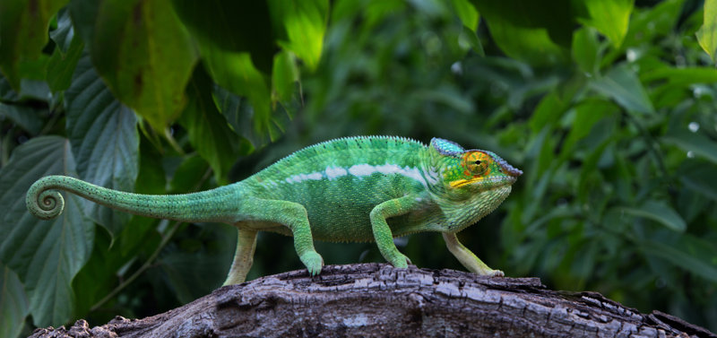 Το καταφύγιο Peryeras