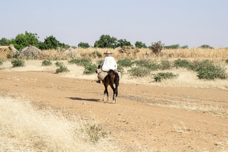 ΝΤΖΑΜΕΝΑ – ΚΑΤΑΣΚΗΝΩΣΗ ΟΥΑΡΝΤΑ (ΕΣΩΤΕΡΙΚΗ ΠΤΗΣΗ)