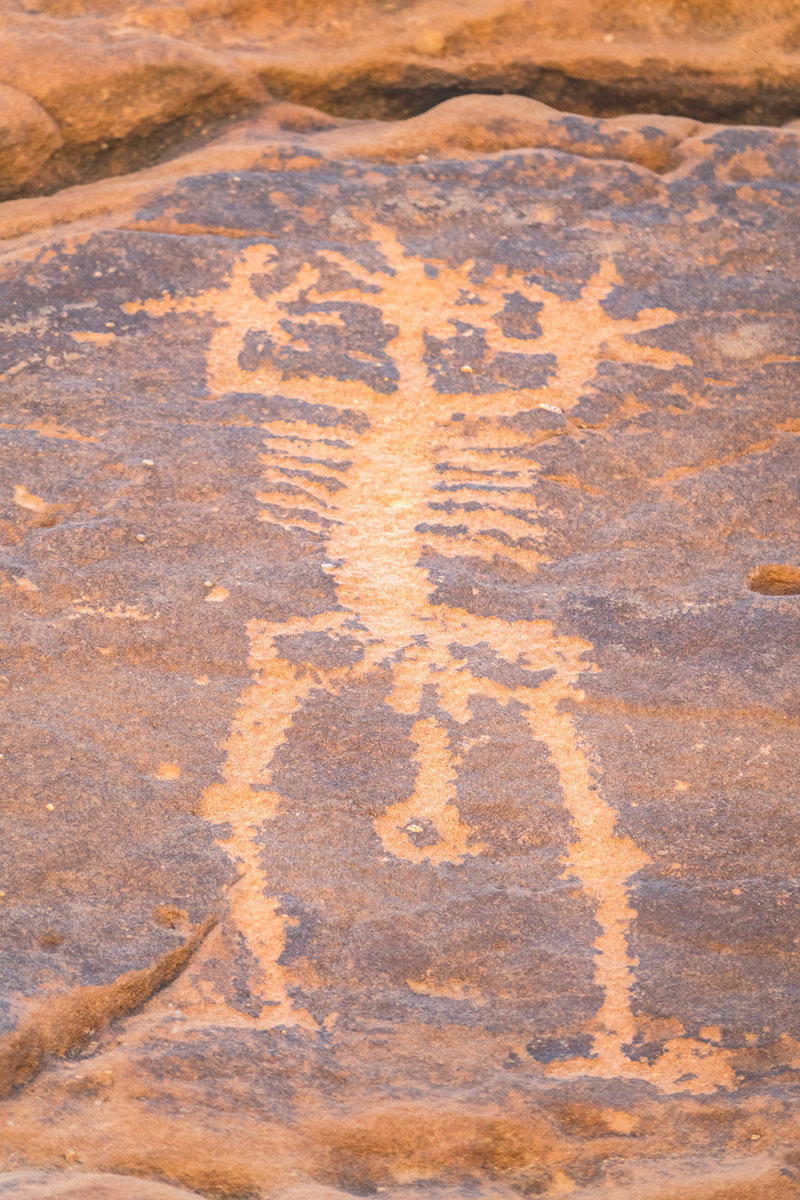 Επισκεφτείτε τη Τζούμπα 