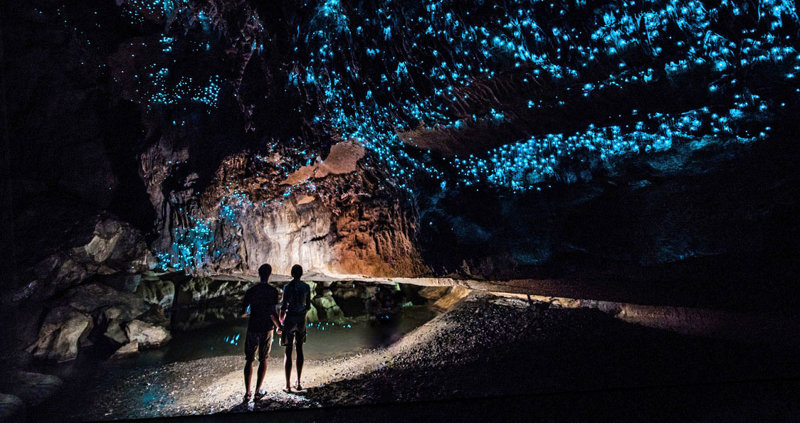 Ξενάγηση στα σπήλαια Γουαϊτόμο