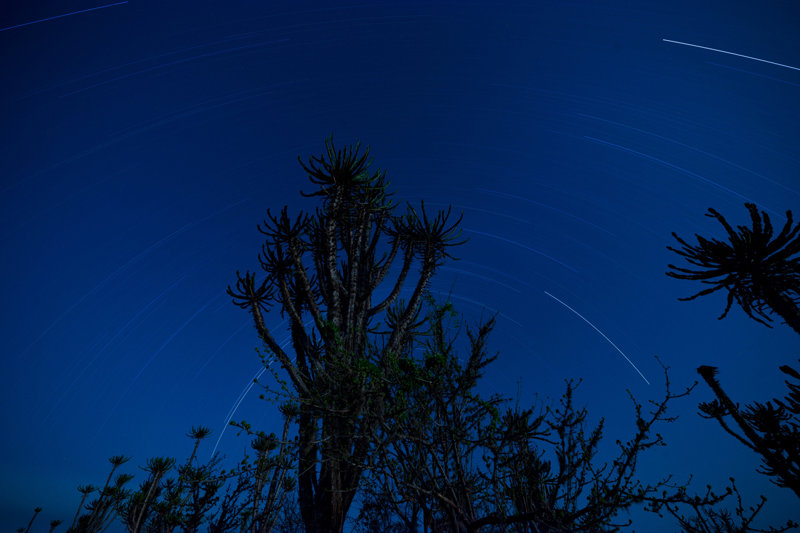 Διανυκτέρευση σε ειδικές σκηνές
